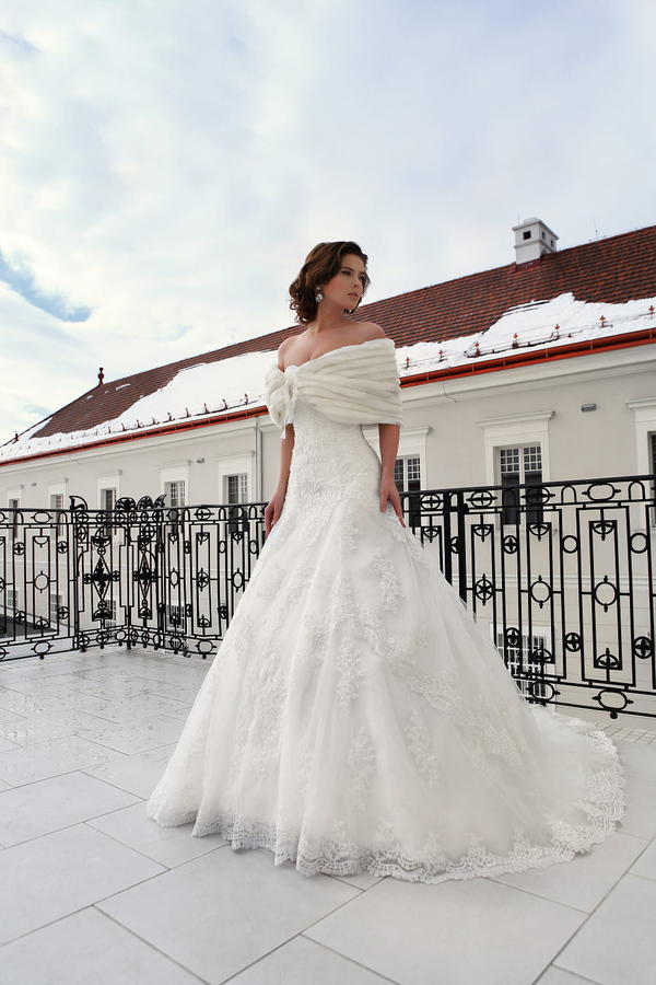 Brautkleid -  jedes Kleid 699€